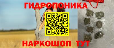 2c-b Кинель