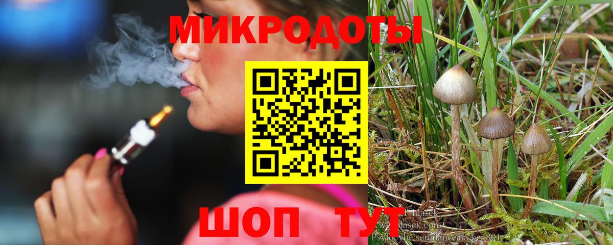 Галлюциногенные грибы Psilocybe  Вход с VPN  Курган 